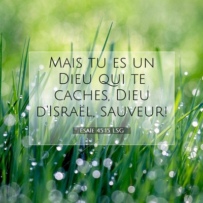 Picture 07 - Ésaïe 45:15 LSG - Mais tu es un Dieu qui te caches, Dieu d'Israël, - Bible Verse Picture