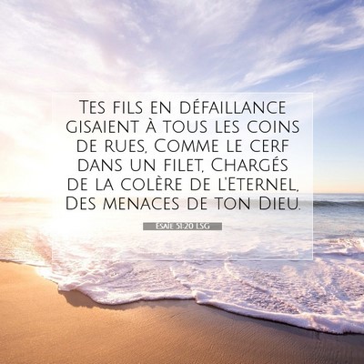 Picture 07 - Ésaïe 51:20 LSG - Tes fils en défaillance gisaient à tous les - Bible Verse Picture