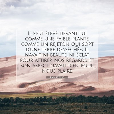 Picture 07 - Ésaïe 53:2 LSG - Il s'est élevé devant lui comme une faible - Bible Verse Picture