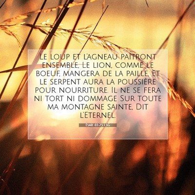 Picture 07 - Ésaïe 65:25 LSG - Le loup et l'agneau paîtront ensemble, Le lion, - Bible Verse Picture