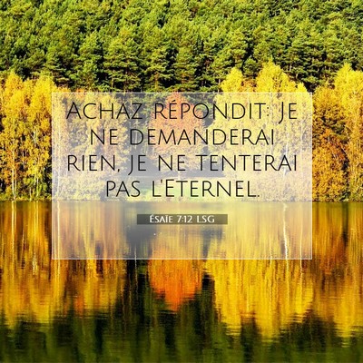 Picture 07 - Ésaïe 7:12 LSG - Achaz répondit: Je ne demanderai rien, je ne - Bible Verse Picture
