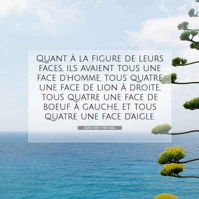 Picture 07 - Ézéchiel 1:10 LSG - Quant à la figure de leurs faces, ils avaient - Bible Verse Picture