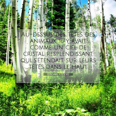 Picture 07 - Ézéchiel 1:22 LSG - Au-dessus des têtes des animaux, il y avait - Bible Verse Picture