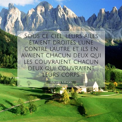 Picture 07 - Ézéchiel 1:23 LSG - Sous ce ciel, leurs ailes étaient droites l'une - Bible Verse Picture