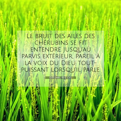 Picture 07 - Ézéchiel 10:5 LSG - Le bruit des ailes des chérubins se fit entendre - Bible Verse Picture