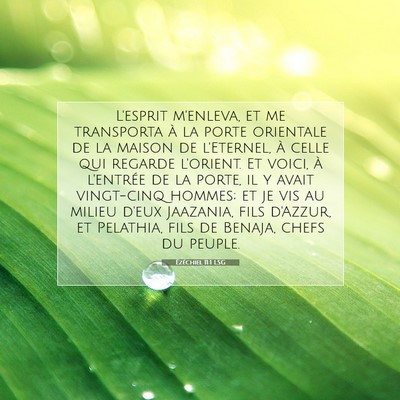 Picture 07 - Ézéchiel 11:1 LSG - L'esprit m'enleva, et me transporta à la porte - Bible Verse Picture