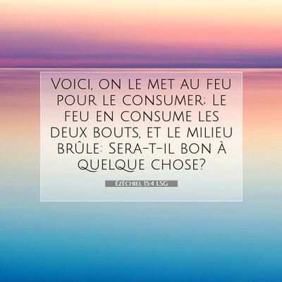 Picture 07 - Ézéchiel 15:4 LSG - Voici, on le met au feu pour le consumer; Le feu - Bible Verse Picture