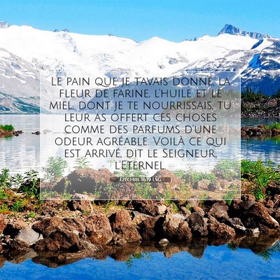 Picture 07 - Ézéchiel 16:19 LSG - Le pain que je t'avais donné, la fleur de - Bible Verse Picture