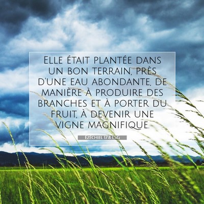 Picture 07 - Ézéchiel 17:8 LSG - Elle était plantée dans un bon terrain, près - Bible Verse Picture