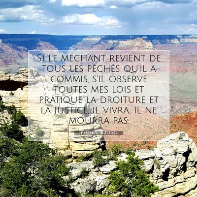 Picture 07 - Ézéchiel 18:21 LSG - Si le méchant revient de tous les péchés qu'il - Bible Verse Picture