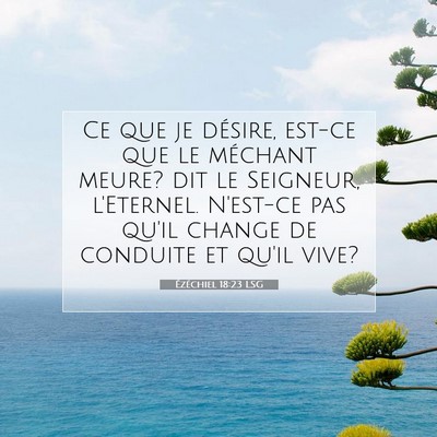 Picture 07 - Ézéchiel 18:23 LSG - Ce que je désire, est-ce que le méchant meure? - Bible Verse Picture