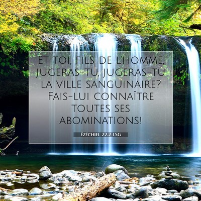 Picture 07 - Ézéchiel 22:2 LSG - Et toi, fils de l'homme, jugeras-tu, jugeras-tu - Bible Verse Picture