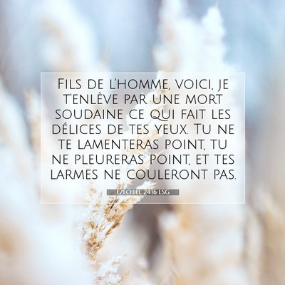 Picture 07 - Ézéchiel 24:16 LSG - Fils de l'homme, voici, je t'enlève par une mort - Bible Verse Picture
