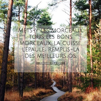 Picture 07 - Ézéchiel 24:4 LSG - Mets-y les morceaux, tous les bons morceaux, la - Bible Verse Picture