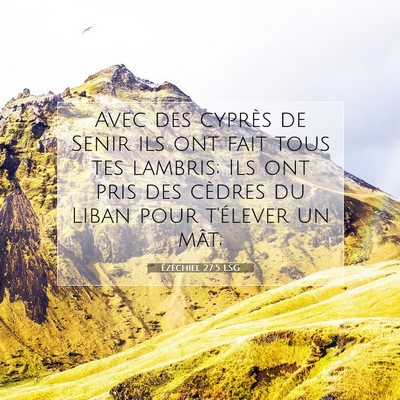 Picture 07 - Ézéchiel 27:5 LSG - Avec des cyprès de Senir ils ont fait tous tes - Bible Verse Picture