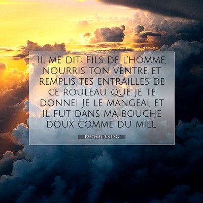 Picture 07 - Ézéchiel 3:3 LSG - Il me dit: Fils de l'homme, nourris ton ventre et - Bible Verse Picture