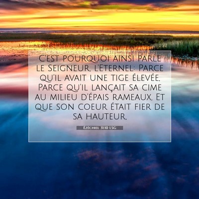 Picture 07 - Ézéchiel 31:10 LSG - C'est pourquoi ainsi parle le Seigneur, - Bible Verse Picture