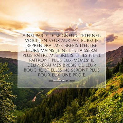 Picture 07 - Ézéchiel 34:10 LSG - Ainsi parle le Seigneur, l'Eternel: Voici, j'en - Bible Verse Picture