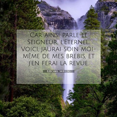 Picture 07 - Ézéchiel 34:11 LSG - Car ainsi parle le Seigneur, l'Eternel: Voici, - Bible Verse Picture