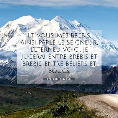 Picture 07 - Ézéchiel 34:17 LSG - Et vous, mes brebis, ainsi parle le Seigneur, - Bible Verse Picture