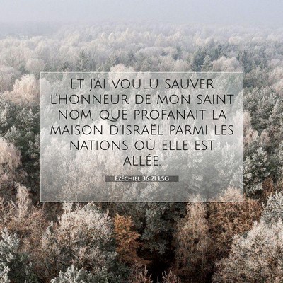 Picture 07 - Ézéchiel 36:21 LSG - Et j'ai voulu sauver l'honneur de mon saint nom, - Bible Verse Picture
