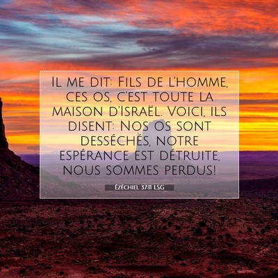 Picture 07 - Ézéchiel 37:11 LSG - Il me dit: Fils de l'homme, ces os, c'est toute - Bible Verse Picture