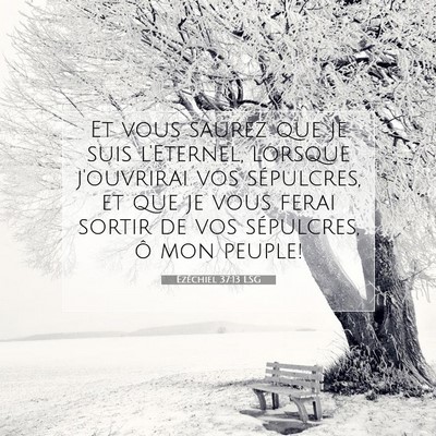 Picture 07 - Ézéchiel 37:13 LSG - Et vous saurez que je suis l'Eternel, lorsque - Bible Verse Picture