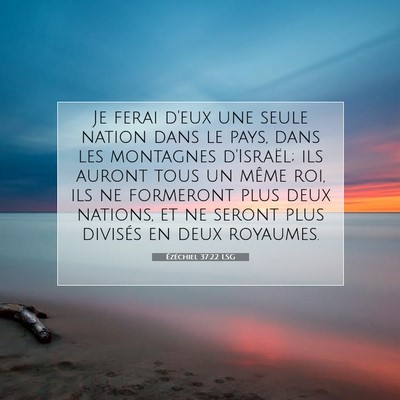 Picture 07 - Ézéchiel 37:22 LSG - Je ferai d'eux une seule nation dans le pays, - Bible Verse Picture