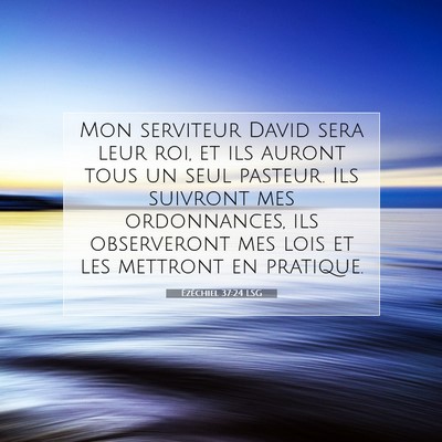 Picture 07 - Ézéchiel 37:24 LSG - Mon serviteur David sera leur roi, et ils auront - Bible Verse Picture