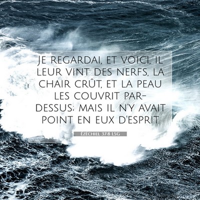 Picture 07 - Ézéchiel 37:8 LSG - Je regardai, et voici, il leur vint des nerfs, la - Bible Verse Picture