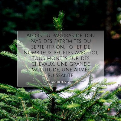 Picture 07 - Ézéchiel 38:15 LSG - Alors tu partiras de ton pays, des extrémités - Bible Verse Picture