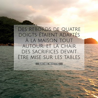 Picture 07 - Ézéchiel 40:43 LSG - Des rebords de quatre doigts étaient adaptés à - Bible Verse Picture