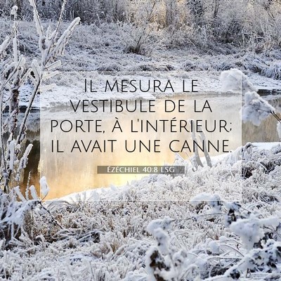 Picture 07 - Ézéchiel 40:8 LSG - Il mesura le vestibule de la porte, à - Bible Verse Picture