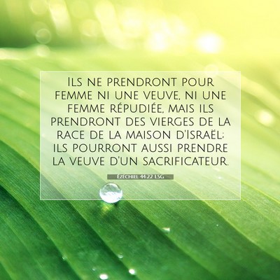 Picture 07 - Ézéchiel 44:22 LSG - Ils ne prendront pour femme ni une veuve, ni une - Bible Verse Picture