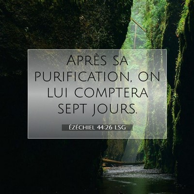Picture 07 - Ézéchiel 44:26 LSG - Après sa purification, on lui comptera sept - Bible Verse Picture