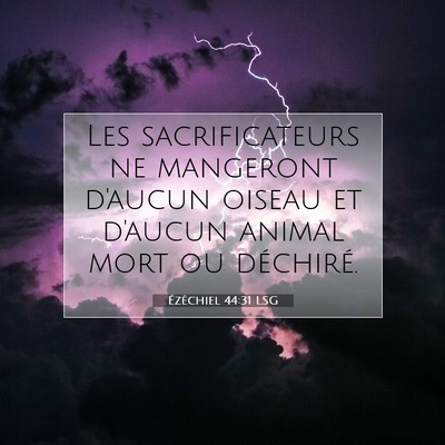Picture 07 - Ézéchiel 44:31 LSG - Les sacrificateurs ne mangeront d'aucun oiseau et - Bible Verse Picture