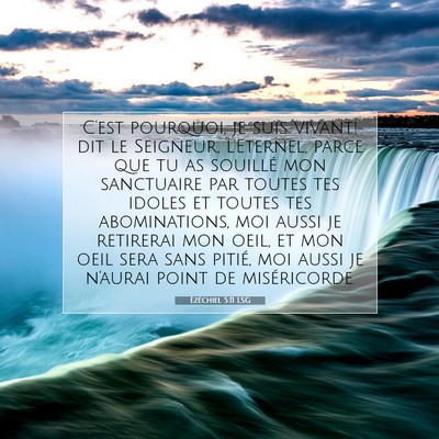 Picture 07 - Ézéchiel 5:11 LSG - C'est pourquoi, je suis vivant! dit le Seigneur, - Bible Verse Picture