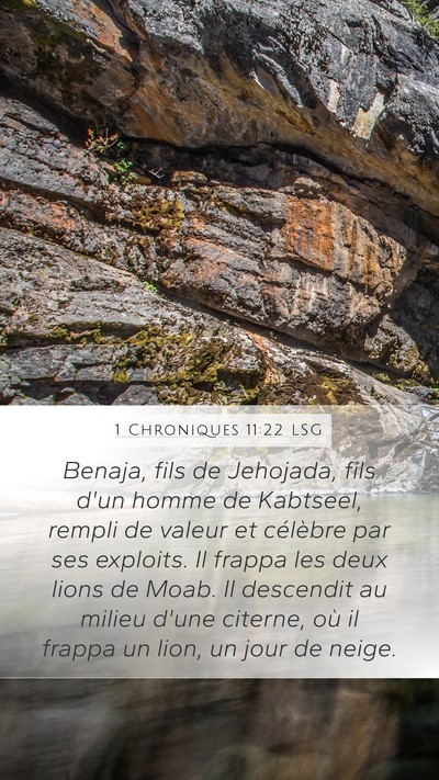 1 Chroniques 11:22 LSG Bible Verse Image