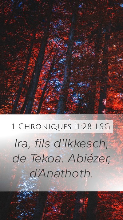 1 Chroniques 11:28 LSG Bible Verse Image