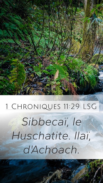 1 Chroniques 11:29 LSG Bible Verse Image