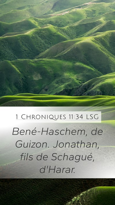 1 Chroniques 11:34 LSG Bible Verse Image