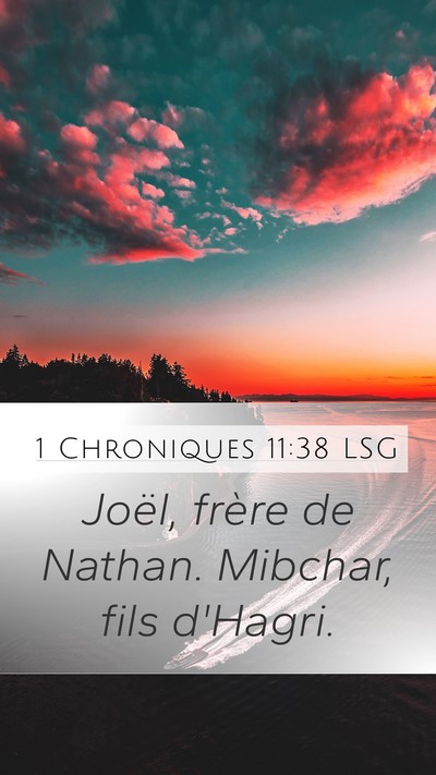 1 Chroniques 11:38 LSG Bible Verse Image