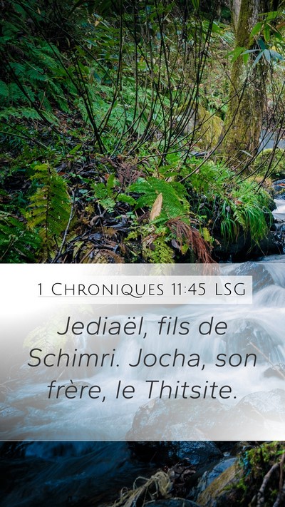 1 Chroniques 11:45 LSG Mobile Phone Wallpaper - Jediaël, fils de Schimri. Jocha, son frère, le - Mobile Bible Verse Wallpaper