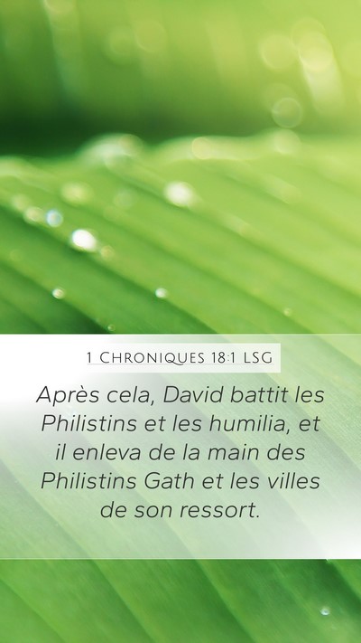 1 Chroniques 18:1 LSG Bible Verse Image