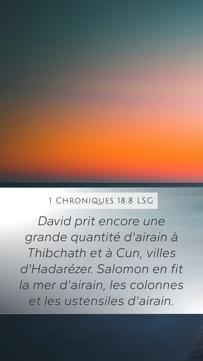 1 Chroniques 18:8 LSG Bible Verse Image