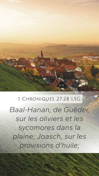 1 Chroniques 27:28 LSG Bible Verse Image
