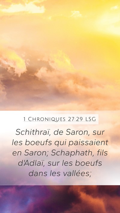 1 Chroniques 27:29 LSG Bible Verse Image