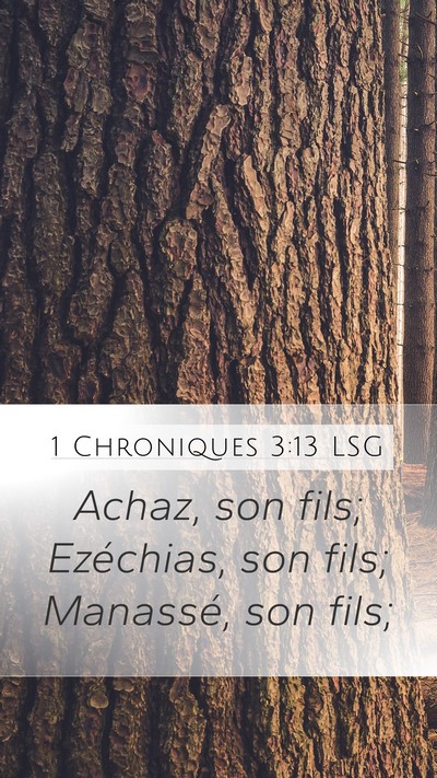 1 Chroniques 3:13 LSG Bible Verse Image