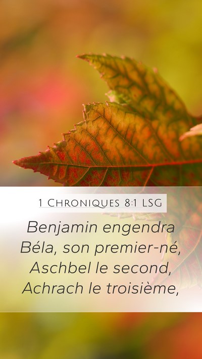 1 Chroniques 8:1 LSG Bible Verse Image