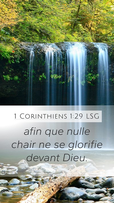 1 Corinthiens 1:29 LSG Bible Verse Image